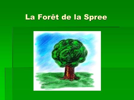 La Forêt de la Spree.