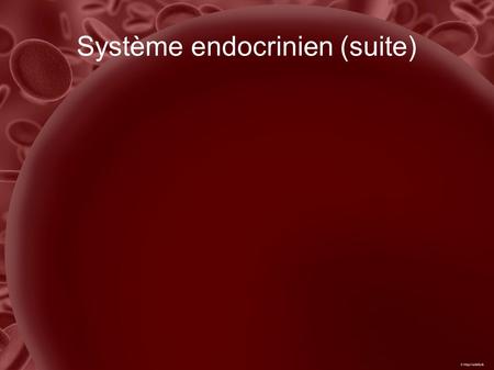 Système endocrinien (suite)