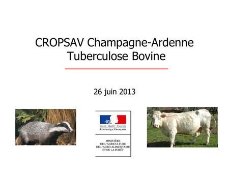 CROPSAV Champagne-Ardenne Tuberculose Bovine 26 juin 2013.