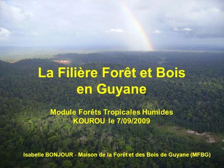 La Filière Forêt et Bois Module Forêts Tropicales Humides
