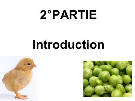 2°PARTIE Introduction.