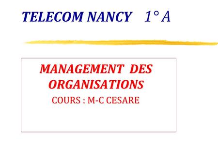 MANAGEMENT DES ORGANISATIONS COURS : M-C CESARE