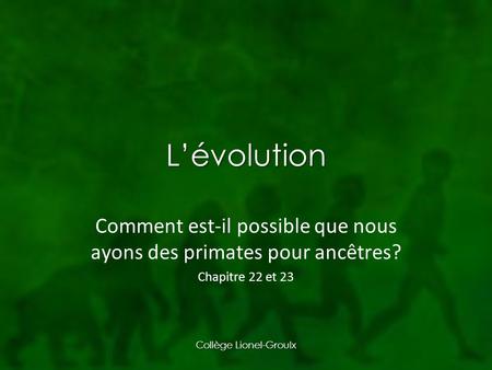 L’évolution Comment est-il possible que nous ayons des primates pour ancêtres? Chapitre 22 et 23 Collège Lionel-Groulx.