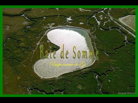 Diaporama de Gi Baie de Somme La Baie de Somme est située sur le littoral de la région Picardie, en France. Elle s'étend sur 70 km². Elle est d'une grande.