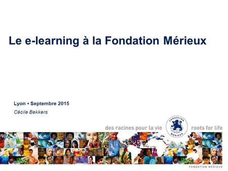 Le e-learning à la Fondation Mérieux Lyon Septembre 2015 Cécile Bekkers.