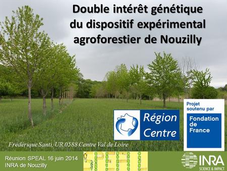 Double intérêt génétique du dispositif expérimental agroforestier de Nouzilly Frédérique Santi, UR 0588 Centre Val de Loire Réunion SPEAL 16 juin 2014.
