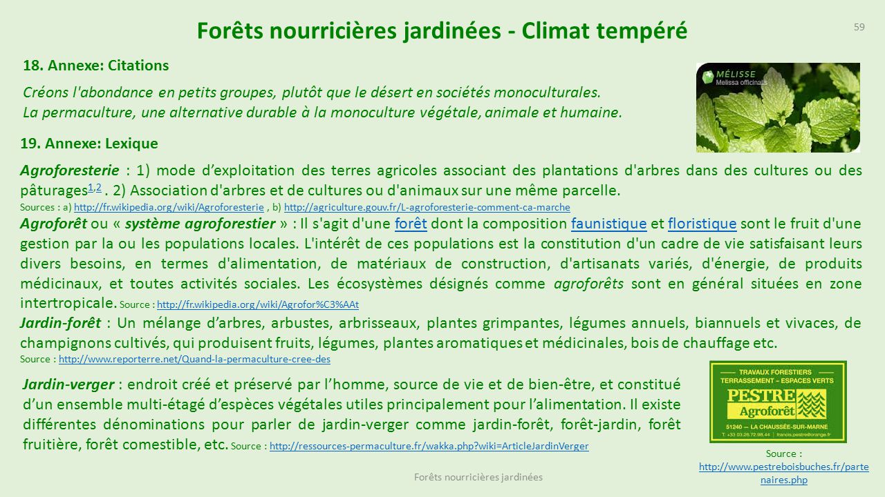 Forêts comestibles : l'idée d'une alimentation pour tous par Juan Anton Mora  For%C3%AAts+nourrici%C3%A8res+jardin%C3%A9es+-+Climat+temp%C3%A9r%C3%A9
