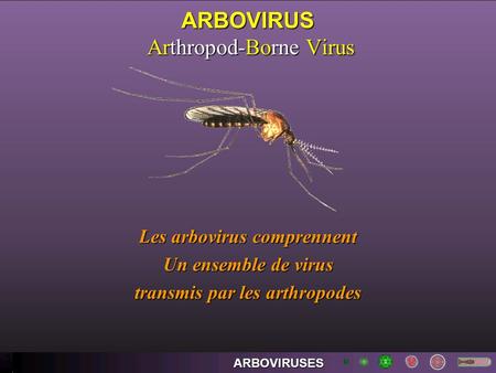 ARBOVIRUS Arthropod-Borne Virus
