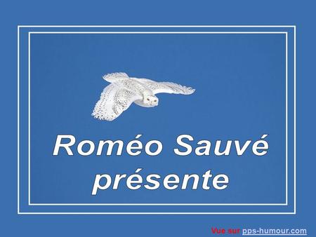 Roméo Sauvé présente Vue sur pps-humour.com.