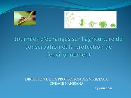 DIRECTION DE L A PROTECTION DES VEGETAUX CNEAGR NANISANA 23 juin 2011