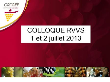 COLLOQUE RVVS 1 et 2 juillet 2013. A lorigine (1990): une initiative professionnelle bourguignonne 8 membres fondateurs (parité recherche/profession)