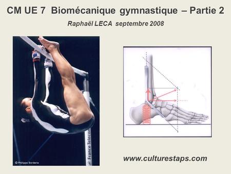 CM UE 7 Biomécanique gymnastique – Partie 2