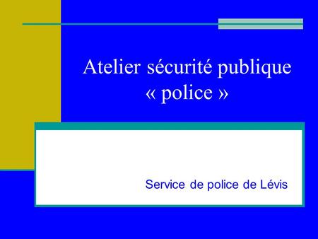 Atelier sécurité publique « police »