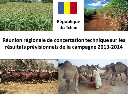 République du Tchad Réunion régionale de concertation technique sur les résultats prévisionnels de la campagne 2013-2014.