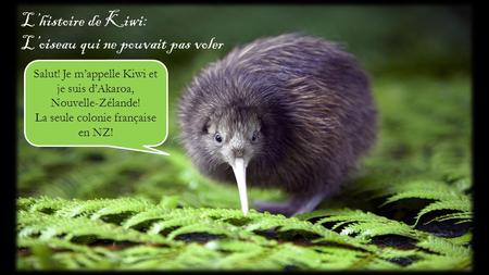 L’histoire de Kiwi: L’oiseau qui ne pouvait pas voler