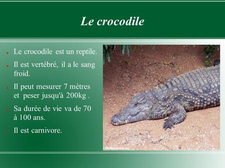 Le crocodile Le crocodile est un reptile.