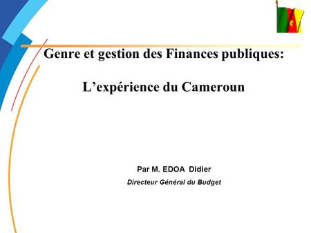 Genre et gestion des Finances publiques: L’expérience du Cameroun