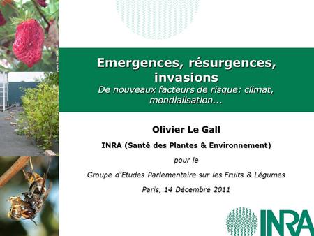 INRA (Santé des Plantes & Environnement)