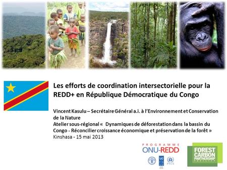 Les efforts de coordination intersectorielle pour la REDD+ en République Démocratique du Congo Vincent Kasulu – Secrétaire Général a.i. à l’Environnement.
