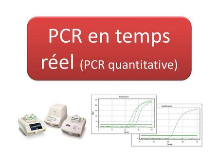 PCR en temps réel (PCR quantitative)