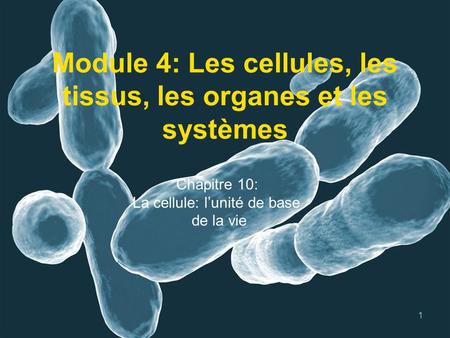 Module 4: Les cellules, les tissus, les organes et les systèmes
