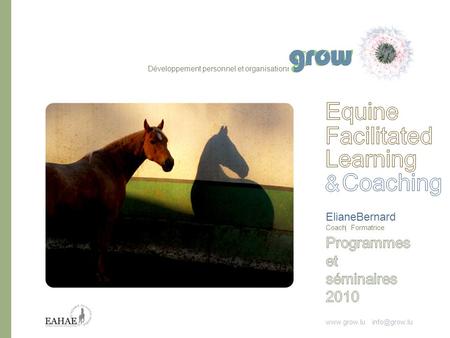 Equine Facilitated Learning Coaching & Programmes et séminaires 2010