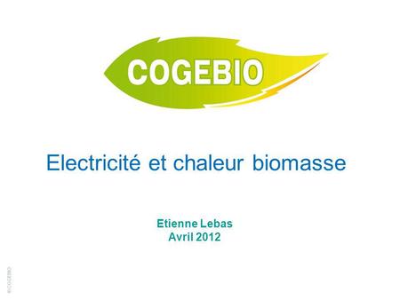Electricité et chaleur biomasse