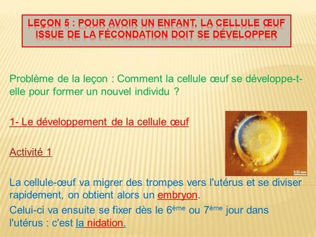1- Le développement de la cellule œuf Activité 1