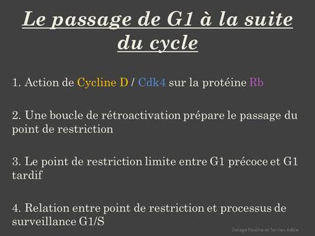 Le passage de G1 à la suite du cycle