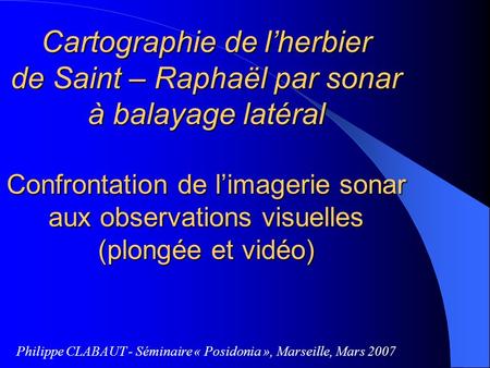 Cartographie de l’herbier de Saint – Raphaël par sonar à balayage latéral Confrontation de l’imagerie sonar aux observations visuelles (plongée et vidéo)