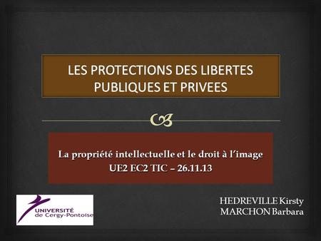 LES PROTECTIONS DES LIBERTES PUBLIQUES ET PRIVEES