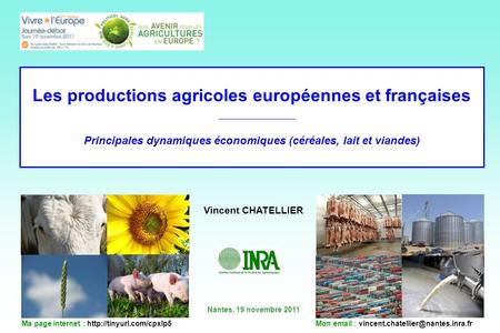 Les productions agricoles européennes et françaises Principales dynamiques économiques (céréales, lait et viandes) Vincent CHATELLIER Nantes, 19 novembre.