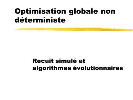 Optimisation globale non déterministe