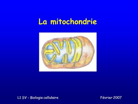 L1 SV - Biologie cellulaire Février 2007