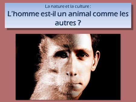 La nature et la culture : L’homme est-il un animal comme les autres ?