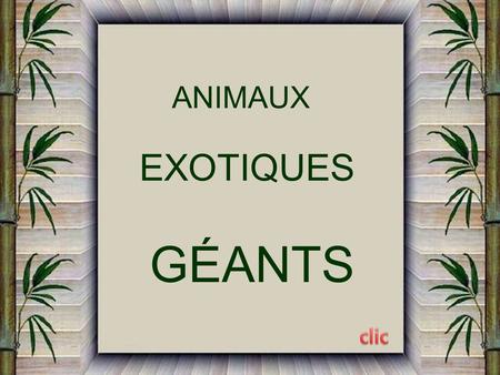 ANIMAUX EXOTIQUES GÉANTS.