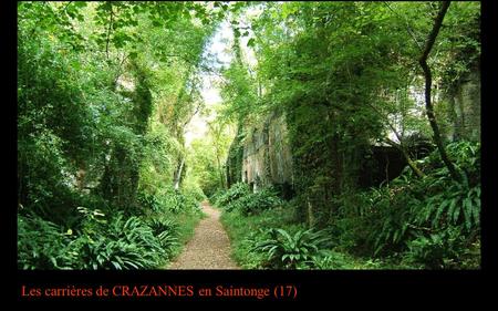 Les carrières de CRAZANNES en Saintonge (17)
