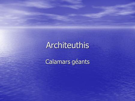 Architeuthis Calamars géants.