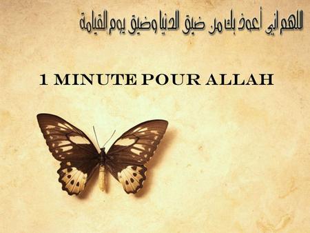 1 Minute Pour Allah.