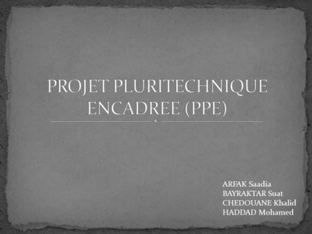 PROJET PLURITECHNIQUE ENCADREE (PPE)