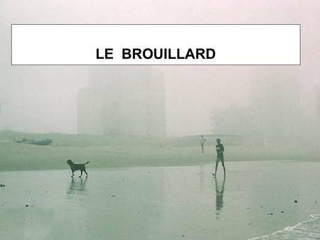 LE BROUILLARD.