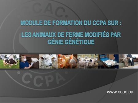 Www.ccac.ca. Ce module de formation est pertinent pour tous les utilisateurs danimaux qui travaillent avec des animaux de ferme modifiés par génie génétique.