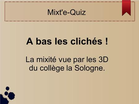 A bas les clichés ! La mixité vue par les 3D du collège la Sologne.