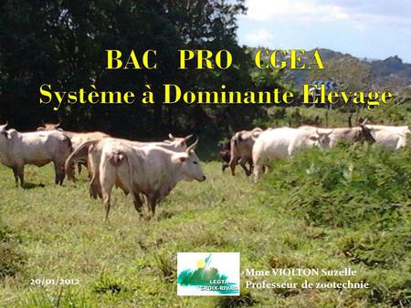 BAC PRO CGEA Système à Dominante Elevage