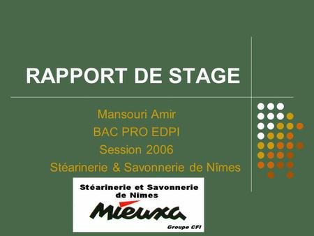 RAPPORT DE STAGE Mansouri Amir BAC PRO EDPI Session 2006