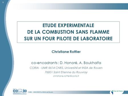 Christiane Rottier co-encadrants : D. Honoré, A