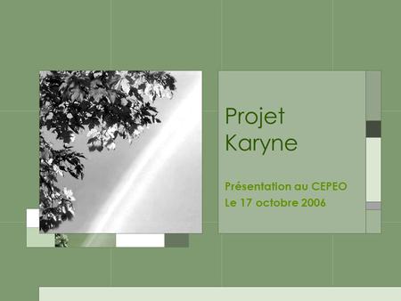 Projet Karyne Présentation au CEPEO Le 17 octobre 2006.