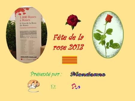 La rose occupe la première place dans le marché des fleurs coupées. Mais on oublie souvent que les rosiers sont aussi des plantes sauvages.