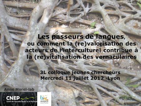 3L colloque jeunes chercheurs Mercredi 11 juillet Lyon