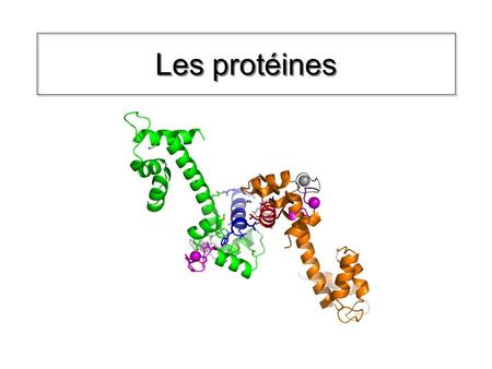 Les protéines.